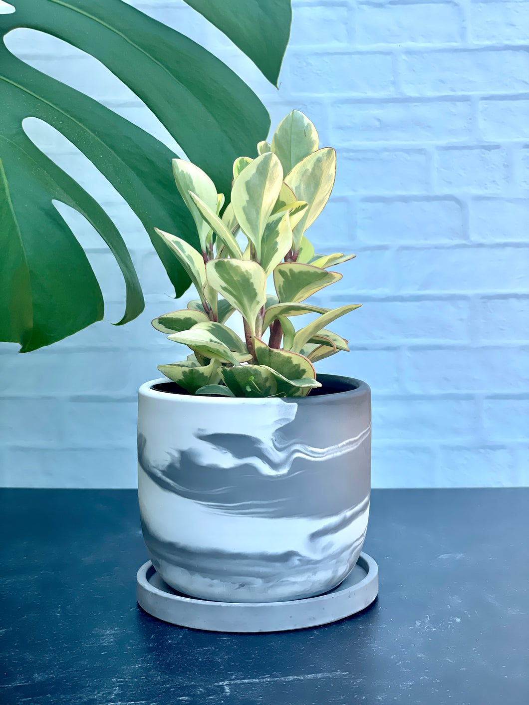 Decorative Cement Plant Pot [MARBLE]